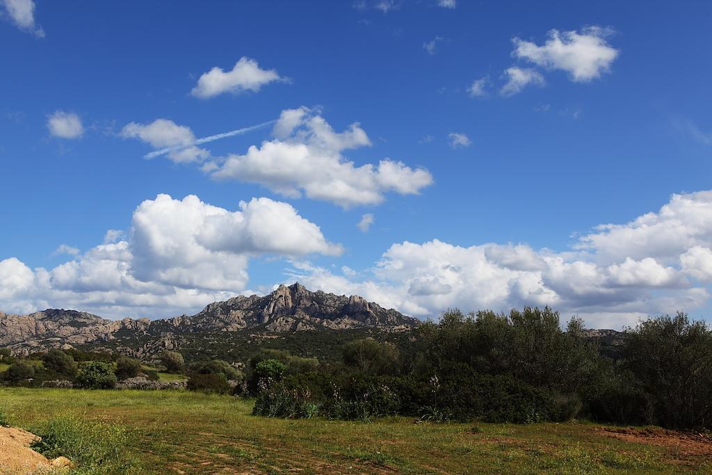 B&B Terra E Smeralda Arzachena Dış mekan fotoğraf