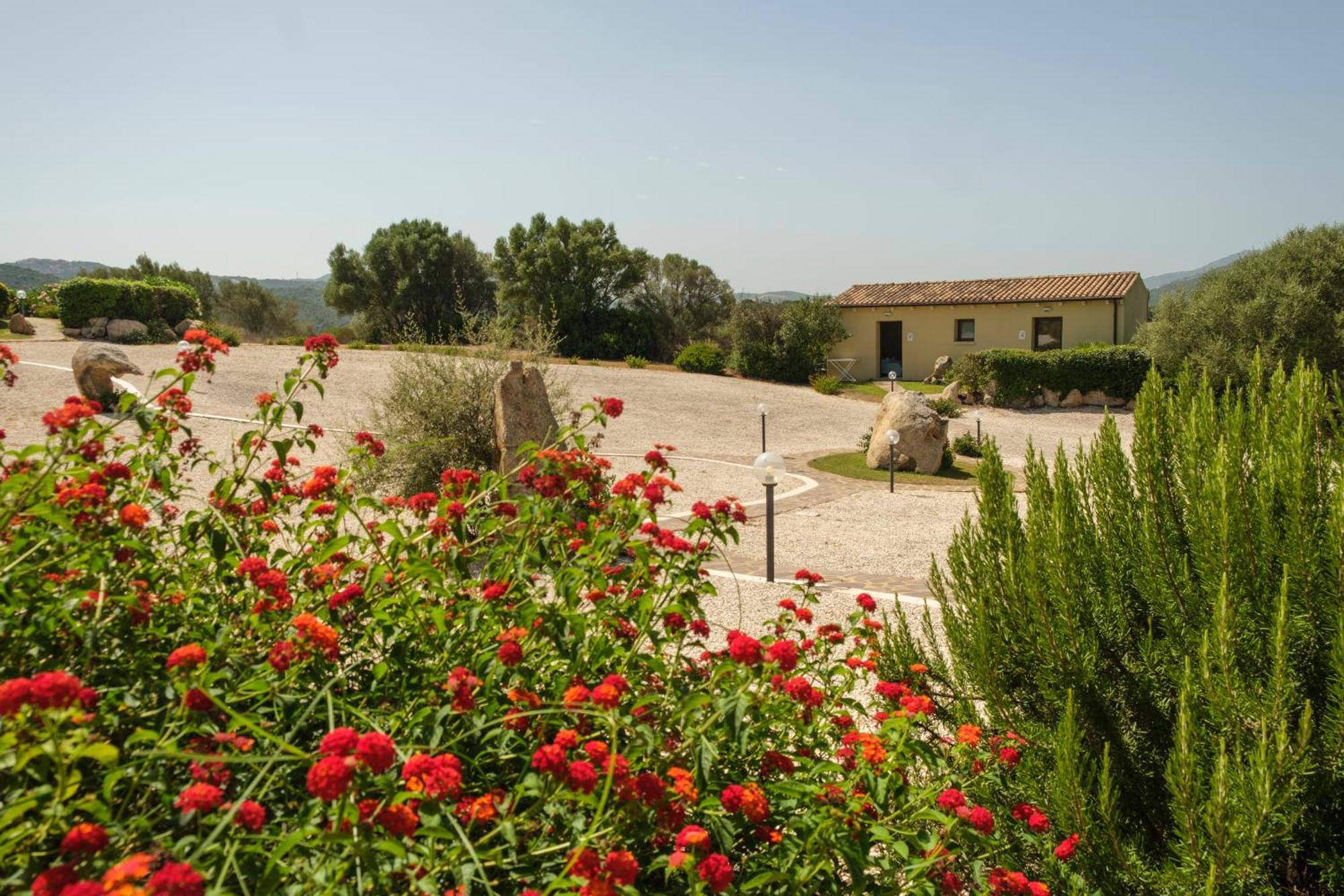 B&B Terra E Smeralda Arzachena Dış mekan fotoğraf