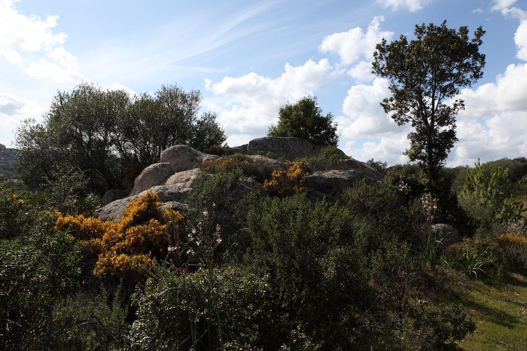 B&B Terra E Smeralda Arzachena Dış mekan fotoğraf